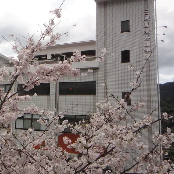 Diện mạo của Yamanaka Educational Institute, Mihara International Academy Of Languages