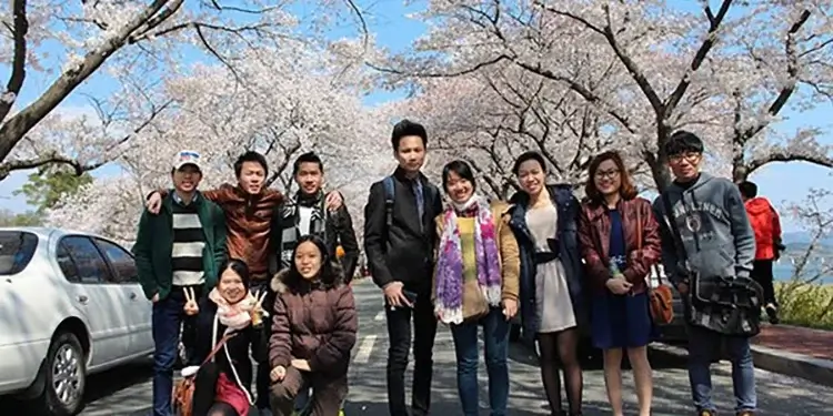 Sinh viên Việt Nam du học tại Nhật Bản